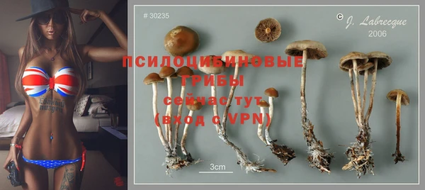кокаин перу Богданович