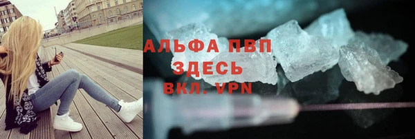 индика Бородино