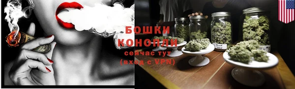 индика Бородино