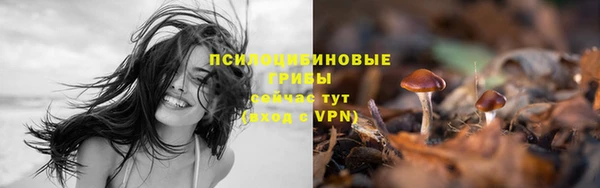 скорость mdpv Богородицк