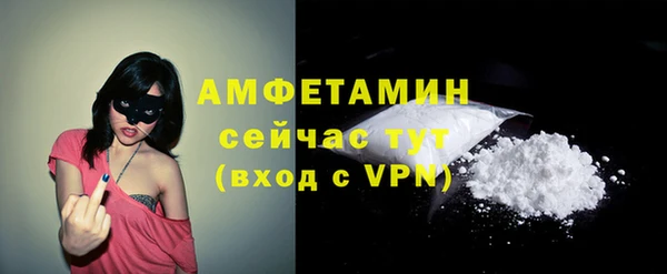 индика Бородино