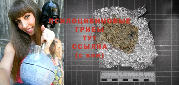 МДПВ Покровск