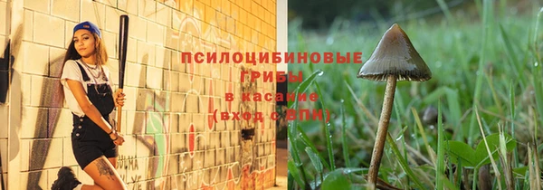 индика Бородино